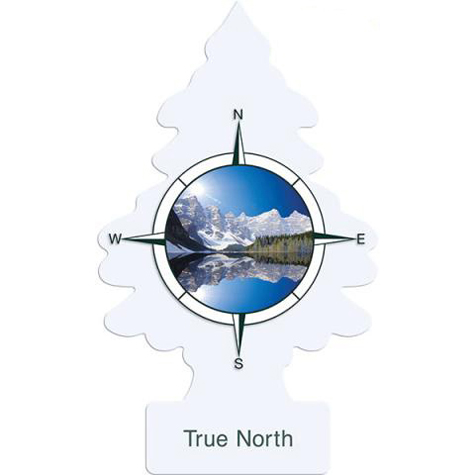 Little Tree - True North product photo