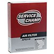 Service Champ Air Filter product photo