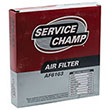 Service Champ Air Filter product photo